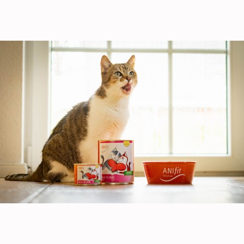 Cat Wet pet food Délice de Coeur 400g 6 Piece -3- Anifit