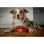Hund Snacks Wels-Snack 170g 1 Packung -3- Anifit